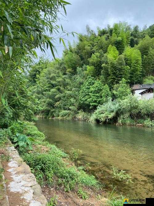 桃花洞口溪水潺潺，那是怎样的清幽景致